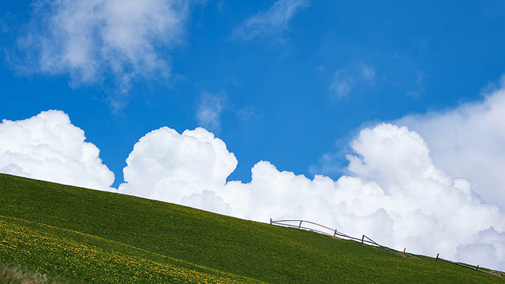 搜狗输入法切换难？全面解锁下载其他输入法的高效方法解析 二