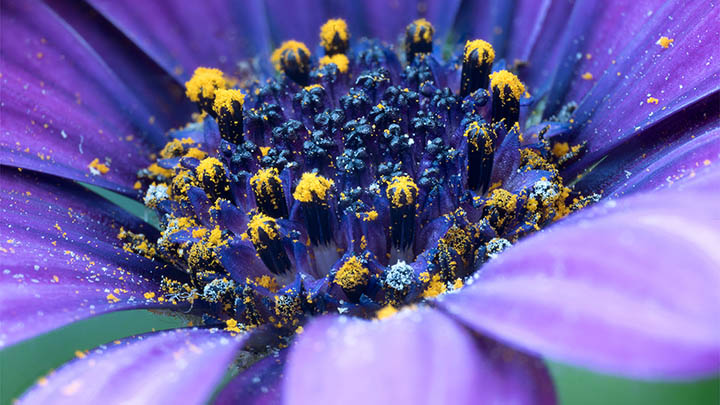 搜狗输入法怎么下载老版?经典版本获取指南 搜狗输入法怎么下载老版?经典版本获取指南 二