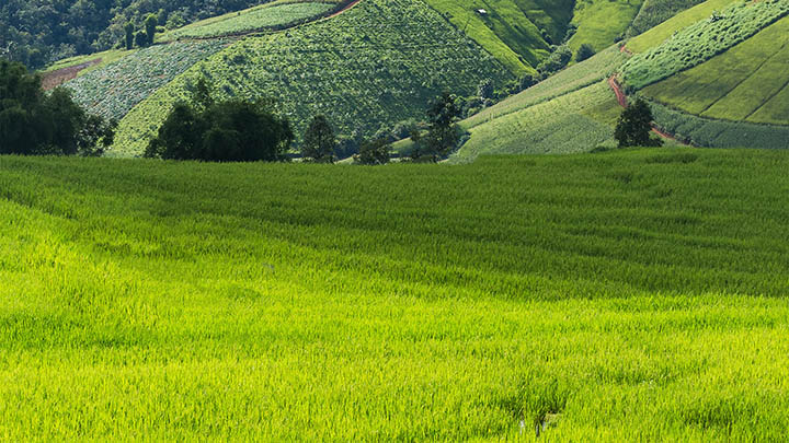搜狗输入法药名词库下载:3步快速导入专业医疗术语 搜狗输入法药名词库下载:3步快速导入专业医疗术语 二