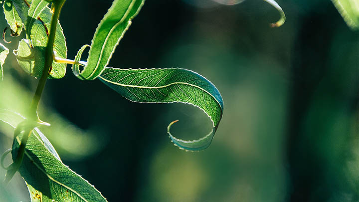 手机搜狗输入法怎么下载？最全下载安装教程解析 二