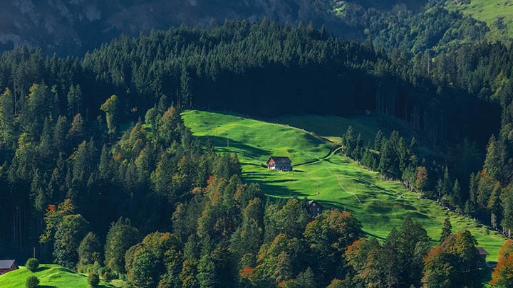 官方搜狗输入法怎么下载?3步快速获取正版 官方搜狗输入法怎么下载?3步快速获取正版 二