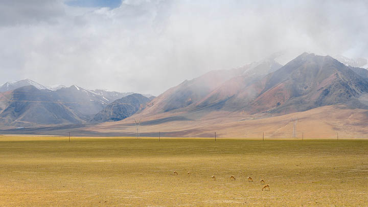 搜狗输入法怎么下载藏文?官方教程解锁拼写技巧 搜狗输入法怎么下载藏文?官方教程解锁拼写技巧 二