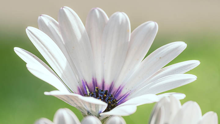 麒麟搜狗输入法下载：全面指南与官方获取链接 二