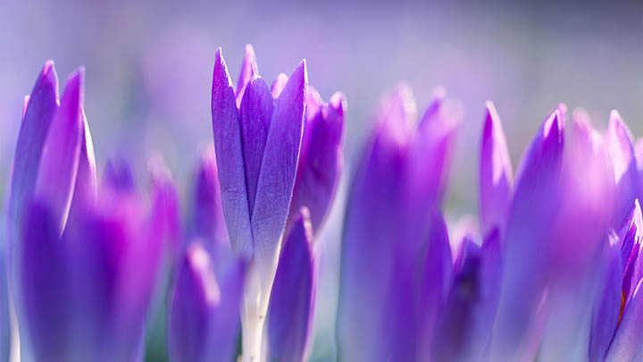 如何免费下载与安装搜狗输入法到桌面电脑？操作详解 二