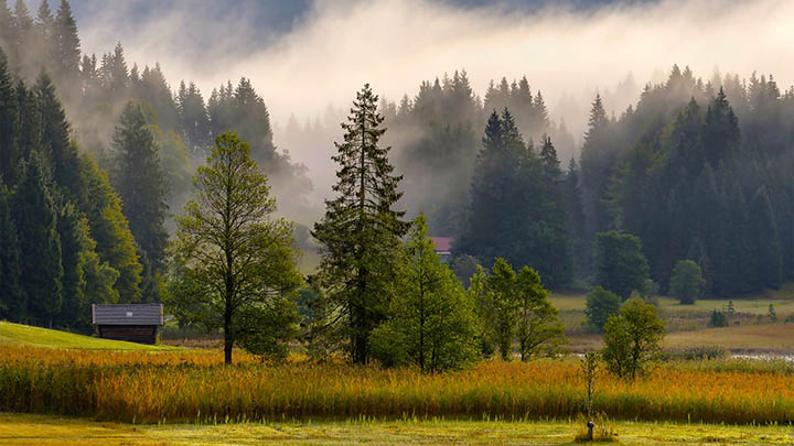 搜狗输入法表情下载无忧？解锁emoji快捷操作与个性定制技巧 二