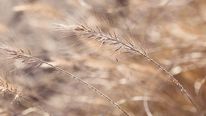 搜狗输入法怎么打字下载：最新版快捷获取教程详解 二
